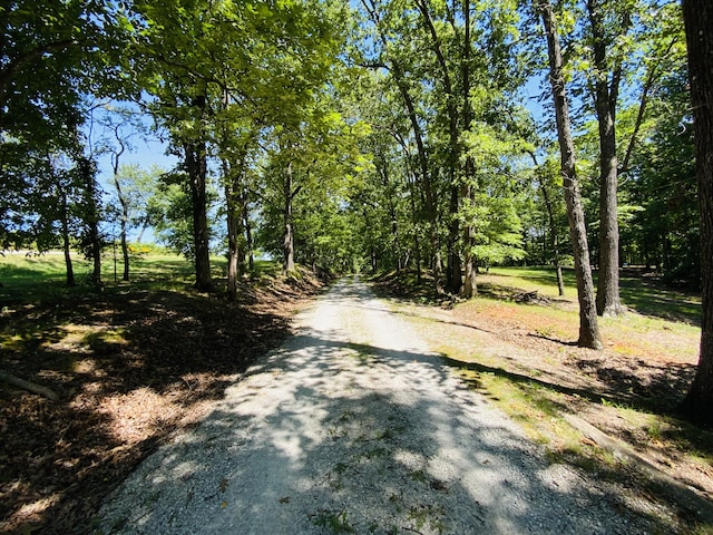 1814 State Highway 125, Sparta, MO 65753 - photo 4