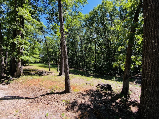 1814 State Highway 125, Sparta, MO 65753 - photo 39