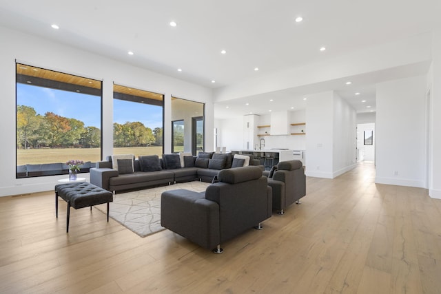 living room featuring sink and light hardwood / wood-style flooring