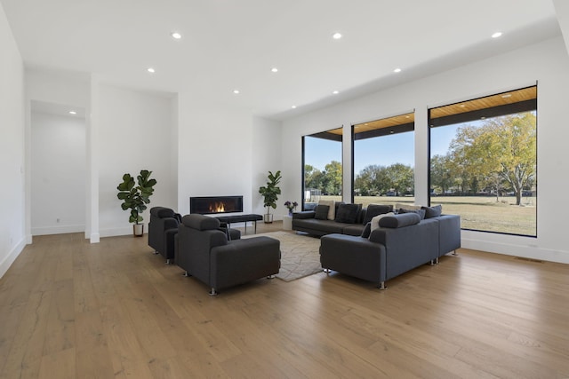 living room featuring light hardwood / wood-style flooring