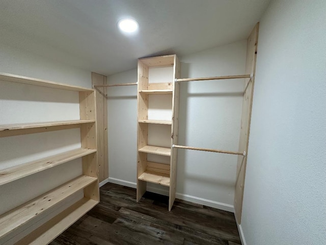 spacious closet with dark hardwood / wood-style flooring