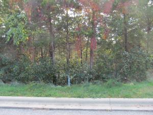 431 Crescent Dr, Hollister, MO 65672 - photo 6