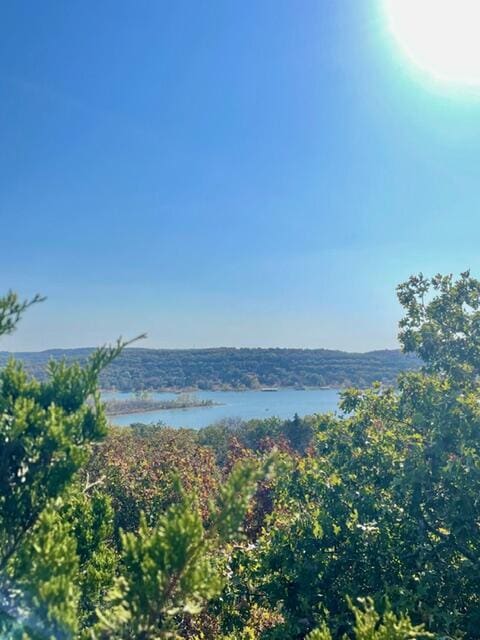 431 Crescent Dr, Hollister, MO 65672 - photo 1