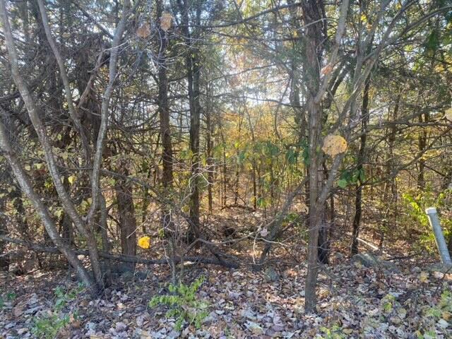 431 Crescent Dr, Hollister, MO 65672 - photo 4