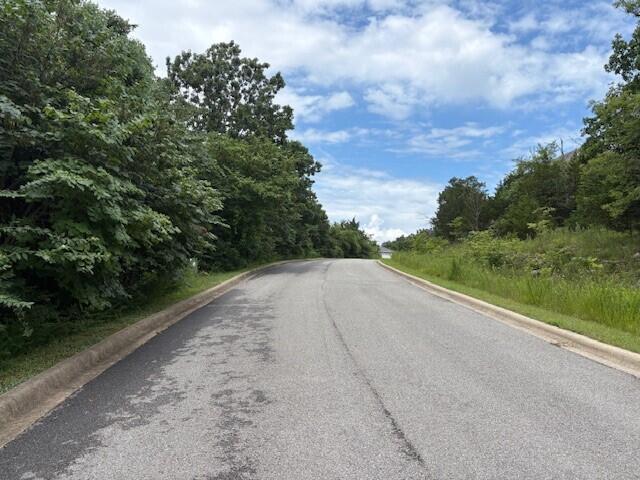 431 Crescent Dr, Hollister, MO 65672 - photo 10