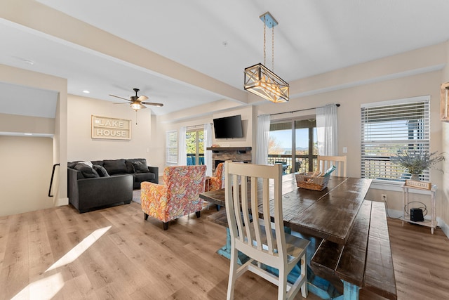 dining space with ceiling fan and light wood-type flooring