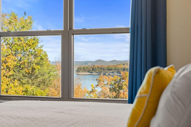 interior details with a water and mountain view