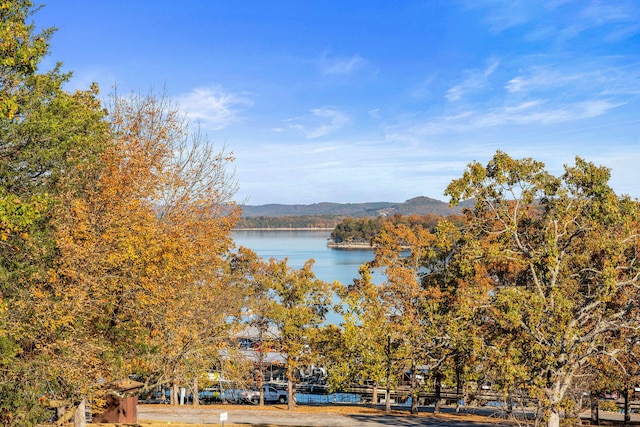 property view of water with a mountain view