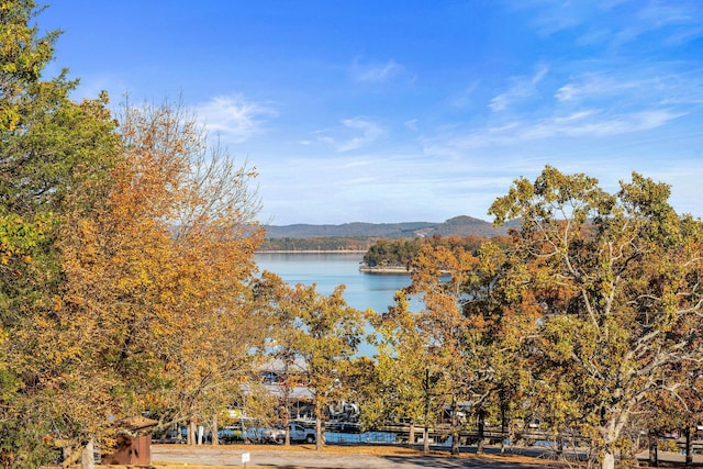 water view featuring a mountain view