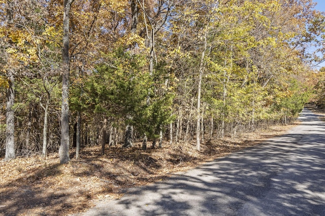 Listing photo 2 for TBD Old Southern Rd, Branson MO 65616