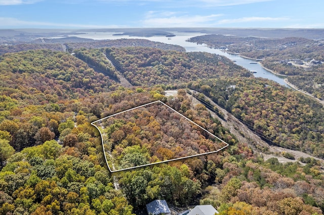 Listing photo 3 for TBD Old Southern Rd, Branson MO 65616