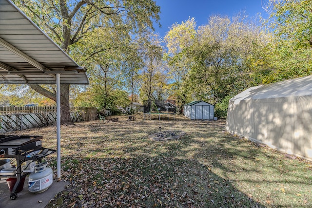 view of yard with a storage shed