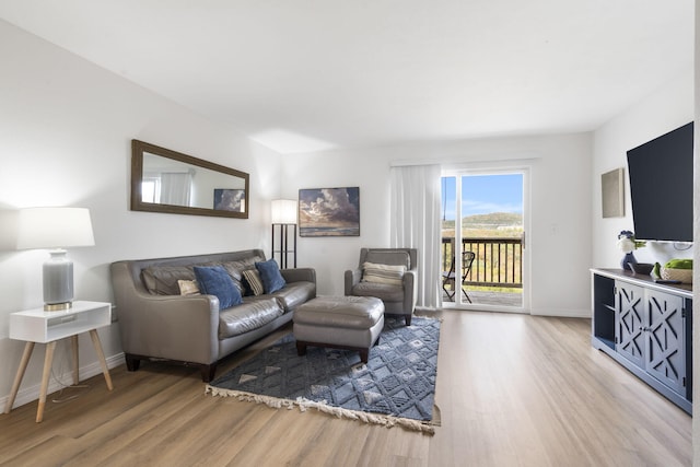 living room with wood-type flooring