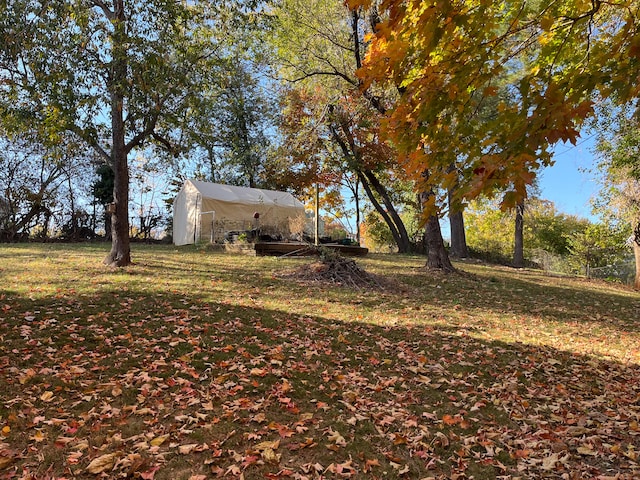 view of yard with a storage unit