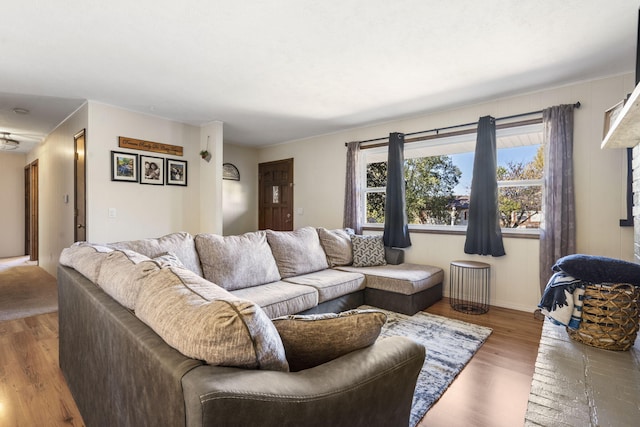 living room with dark hardwood / wood-style flooring