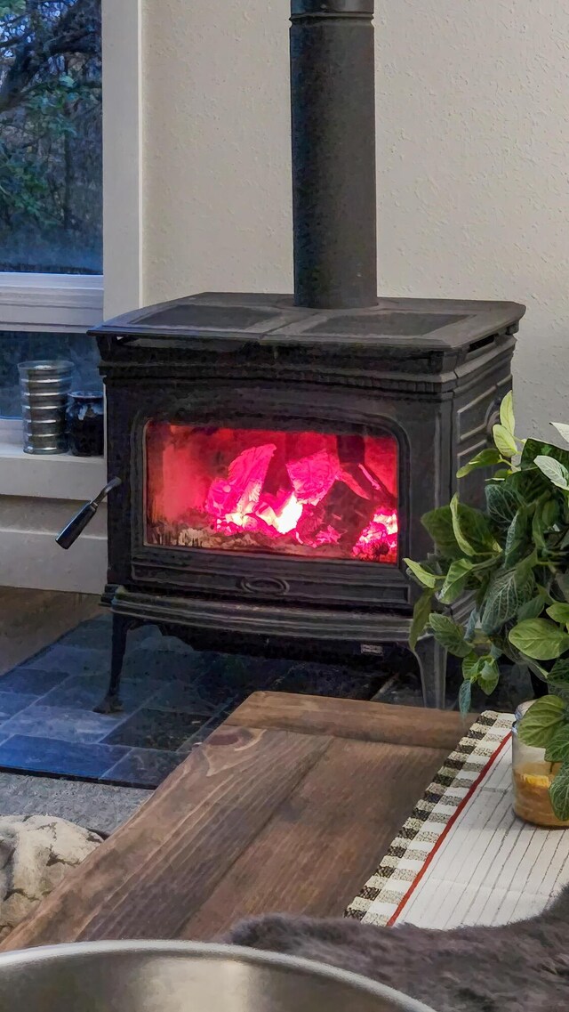 236 N Dade 147, Greenfield, MO 65661 - detailed view of a wood stove and a textured wall