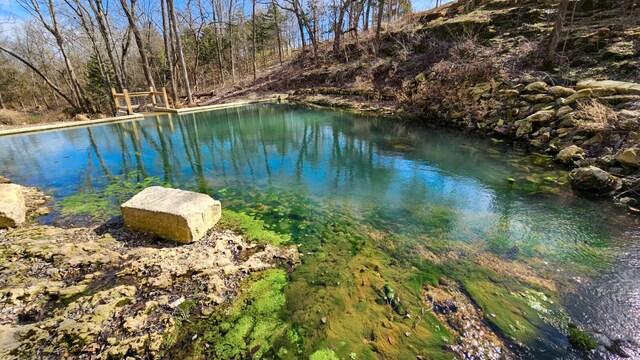 236 N Dade 147, Greenfield, MO 65661 - water view