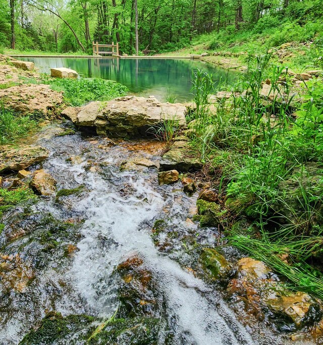 236 N Dade 147, Greenfield, MO 65661 - water view featuring a heavily wooded area