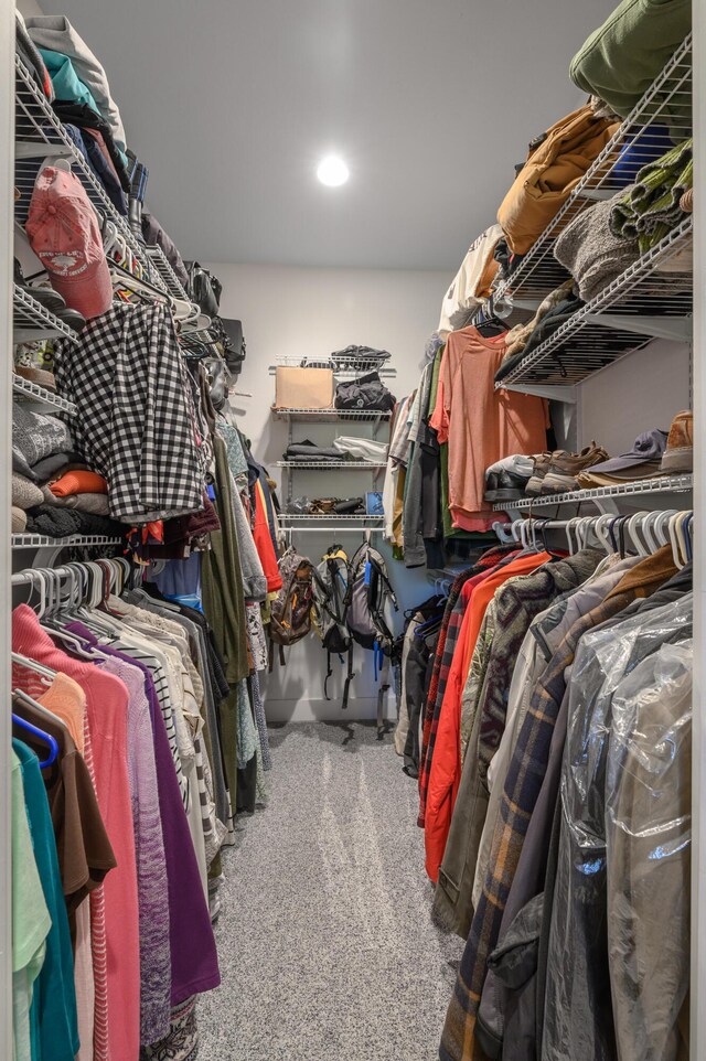 236 N Dade 147, Greenfield, MO 65661 - spacious closet featuring carpet flooring