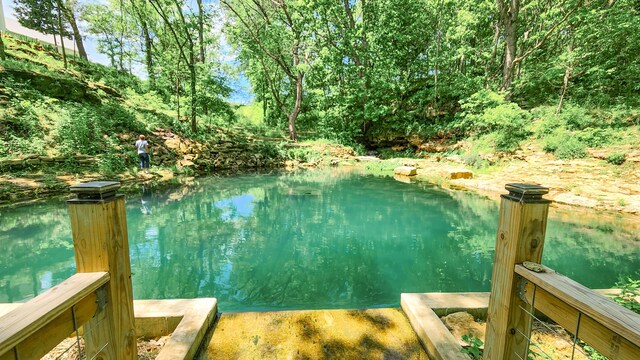 236 N Dade 147, Greenfield, MO 65661 - view of pool