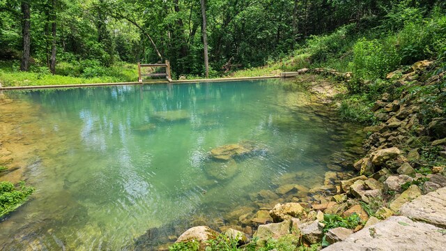 236 N Dade 147, Greenfield, MO 65661 - water view with a forest