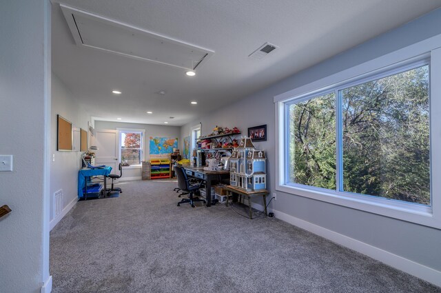 236 N Dade 147, Greenfield, MO 65661 - office with attic access, carpet, baseboards, and recessed lighting
