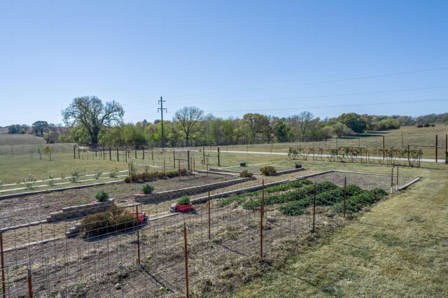 236 N Dade 147, Greenfield, MO 65661 - view of yard with a vegetable garden and a view of rural / pastoral area