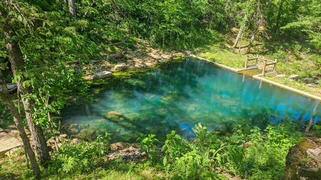236 N Dade 147, Greenfield, MO 65661 - view of pool