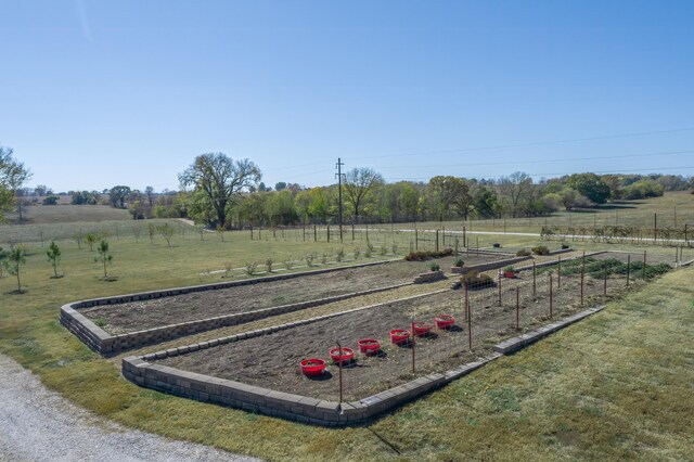 236 N Dade 147, Greenfield, MO 65661 - view of yard with a view of rural / pastoral area and a garden