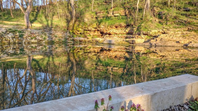 236 N Dade 147, Greenfield, MO 65661 - water view