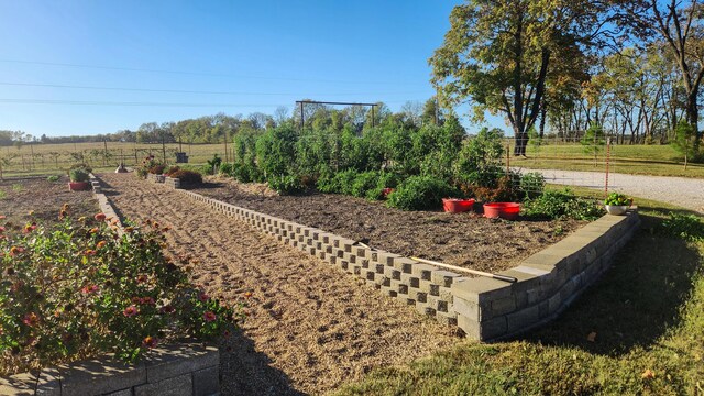 236 N Dade 147, Greenfield, MO 65661 - view of yard