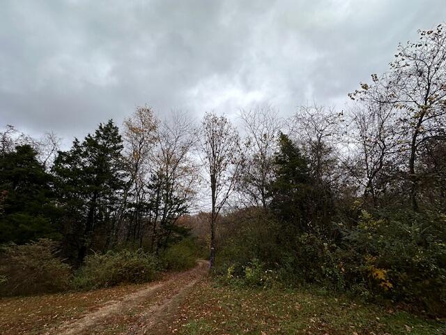 0000 Mary St, Winona, MO 65588 - photo 5