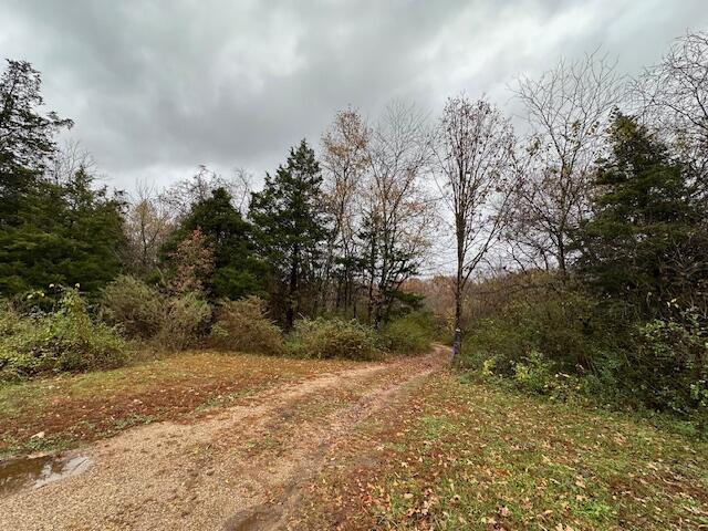 0000 Mary St, Winona, MO 65588 - photo 3