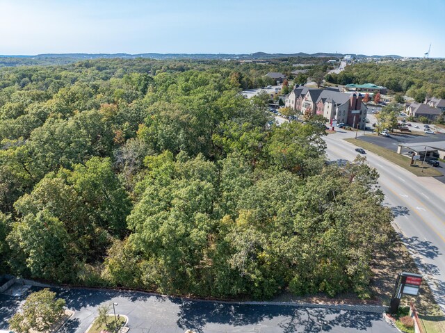 TRACT1 State Highway 248, Branson, MO 65616