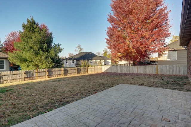 view of yard featuring a patio