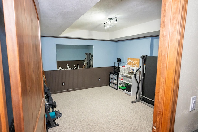 exercise area with a textured ceiling and carpet floors