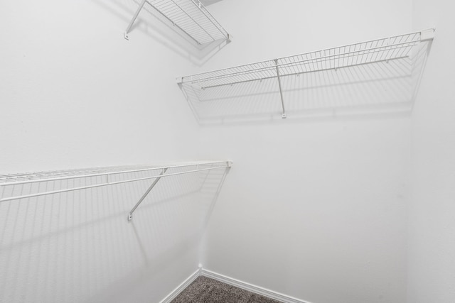 spacious closet featuring dark colored carpet
