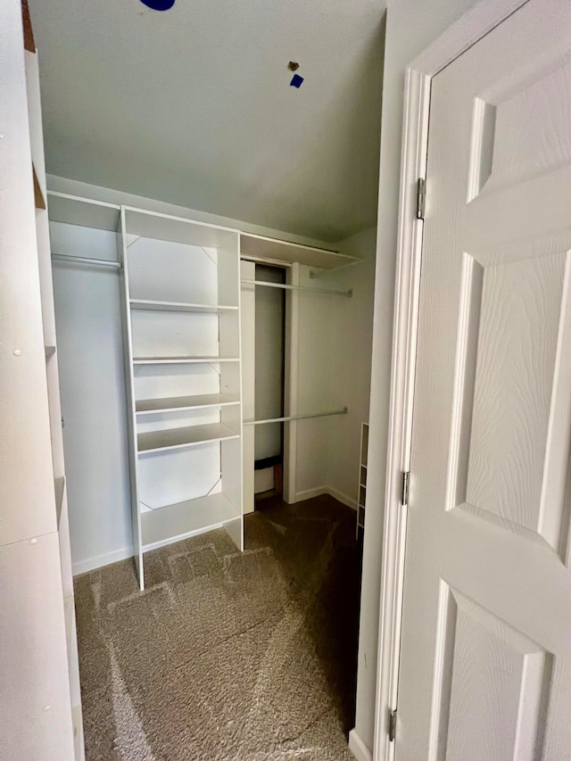 spacious closet featuring carpet floors