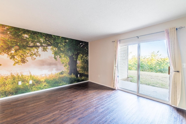 unfurnished room featuring dark wood-type flooring