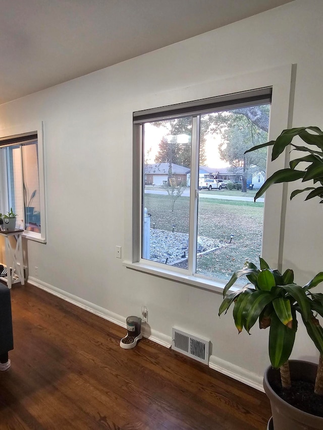 room details featuring wood-type flooring