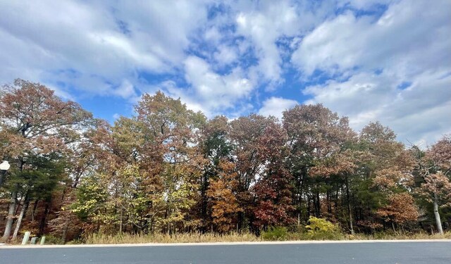 LOT13 Shinnecock Hills Dr, Branson, MO 65616