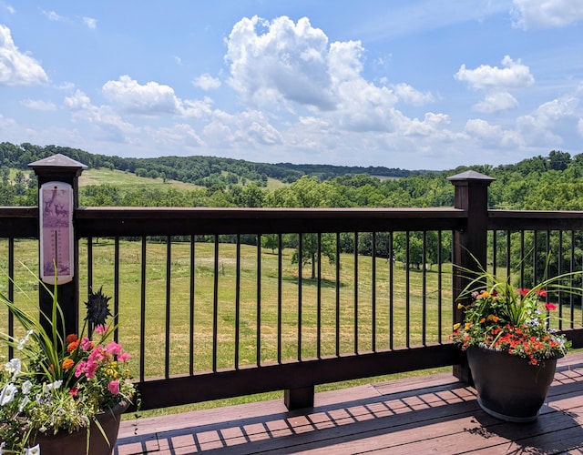 wooden terrace with a yard