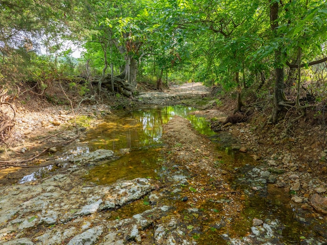 view of local wilderness