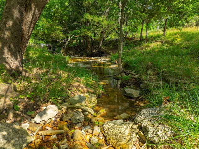 view of landscape