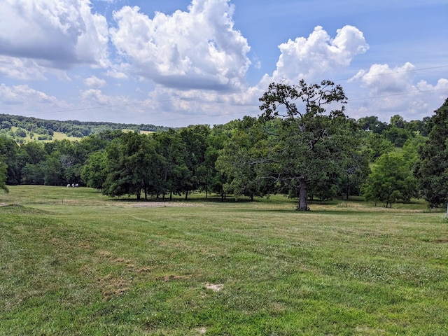 view of yard with a rural view