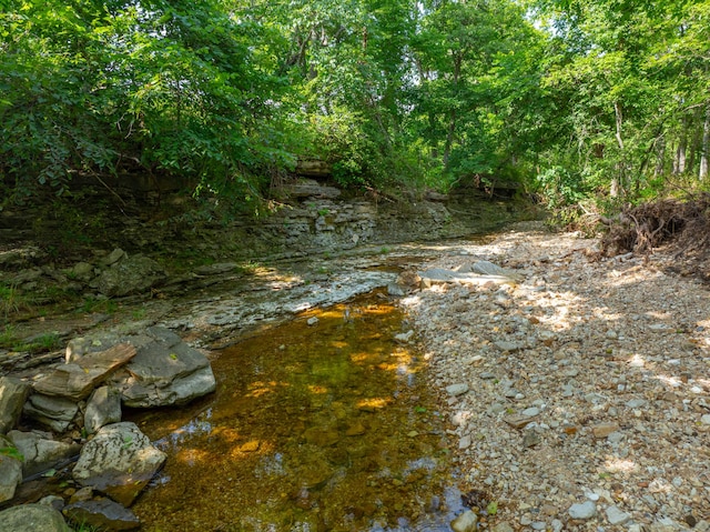 view of local wilderness