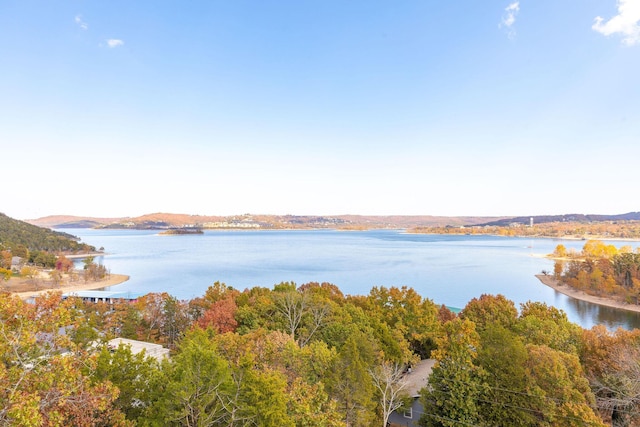 property view of water