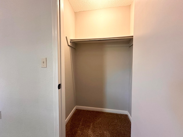 spacious closet featuring carpet flooring