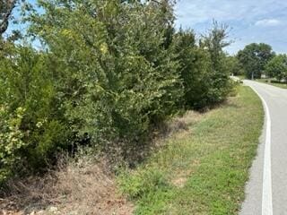 Listing photo 3 for LOT175 Black Forest Ln, Branson West MO 65737