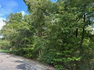 Listing photo 3 for LOT3 Silver Cliff Way, Branson West MO 65737